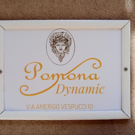 Pomona Dynamic Villa โนโต ภายนอก รูปภาพ